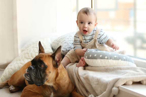 Baby with dog. 